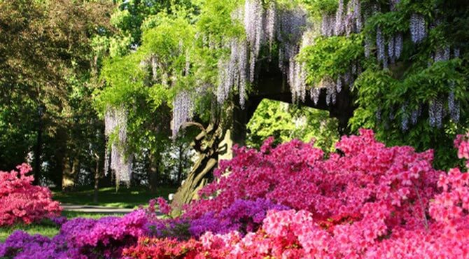 Jardín Botánico de Brooklyn